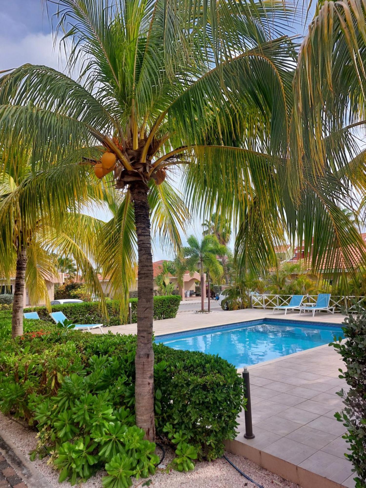 Caribbean Beach Resort Blenchi Curacao ウィレムスタッド エクステリア 写真